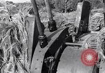 Standbild German 20mm Flak gun Salerno Italien, 1943, aus Sekunde 37 historischem Filmmaterial Videoclip 65675030907