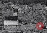 Standbild German 20mm Flak gun Salerno Italien, 1943, aus Sekunde 39 historischem Filmmaterial Videoclip 65675030907