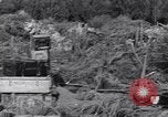 Standbild German 20mm Flak gun Salerno Italien, 1943, aus Sekunde 40 historischem Filmmaterial Videoclip 65675030907