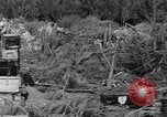 Standbild German 20mm Flak gun Salerno Italien, 1943, aus Sekunde 41 historischem Filmmaterial Videoclip 65675030907