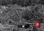 Standbild German 20mm Flak gun Salerno Italien, 1943, aus Sekunde 42 historischem Filmmaterial Videoclip 65675030907