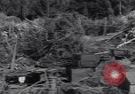 Standbild German 20mm Flak gun Salerno Italien, 1943, aus Sekunde 44 historischem Filmmaterial Videoclip 65675030907