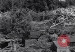 Standbild German 20mm Flak gun Salerno Italien, 1943, aus Sekunde 45 historischem Filmmaterial Videoclip 65675030907