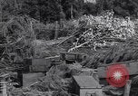 Standbild German 20mm Flak gun Salerno Italien, 1943, aus Sekunde 46 historischem Filmmaterial Videoclip 65675030907