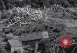 Standbild German 20mm Flak gun Salerno Italien, 1943, aus Sekunde 49 historischem Filmmaterial Videoclip 65675030907
