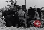 Standbild German 20mm Flak gun Salerno Italien, 1943, aus Sekunde 52 historischem Filmmaterial Videoclip 65675030907