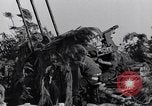 Standbild German 20mm Flak gun Salerno Italien, 1943, aus Sekunde 62 historischem Filmmaterial Videoclip 65675030907