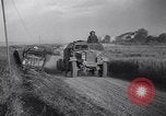 Image of British army vehicles Salerno Italy, 1943, second 52 stock footage video 65675030912