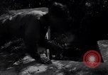 Image of British soldiers Salerno Italy, 1943, second 40 stock footage video 65675030913