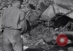 Image of British soldiers Salerno Italy, 1943, second 47 stock footage video 65675030913