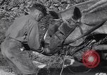Image of British soldiers Salerno Italy, 1943, second 49 stock footage video 65675030913