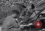 Image of British soldiers Salerno Italy, 1943, second 50 stock footage video 65675030913