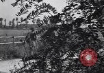 Image of British troops advance toward Salerno Salerno Italy, 1943, second 6 stock footage video 65675030914