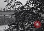 Image of British troops advance toward Salerno Salerno Italy, 1943, second 7 stock footage video 65675030914