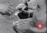 Image of US soldiers baseball match Guadalcanal Solomon Islands, 1943, second 34 stock footage video 65675030932