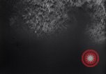 Image of B-24 Liberators Bougainville Island Papua New Guinea, 1943, second 33 stock footage video 65675030933