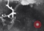Image of B-24 bombers Bougainville Island Papua New Guinea, 1943, second 35 stock footage video 65675030934