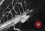 Image of B-24 bombers Bougainville Island Papua New Guinea, 1943, second 47 stock footage video 65675030934