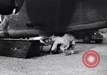 Image of B-24 dead tail gunner China, 1943, second 18 stock footage video 65675030936