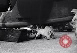 Image of B-24 dead tail gunner China, 1943, second 20 stock footage video 65675030936