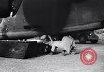 Image of B-24 dead tail gunner China, 1943, second 22 stock footage video 65675030936