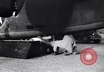 Image of B-24 dead tail gunner China, 1943, second 25 stock footage video 65675030936