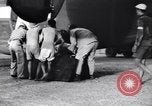 Image of B-24 dead tail gunner China, 1943, second 34 stock footage video 65675030936