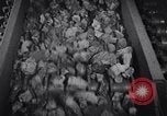 Image of coke screening and transport by Ford Dearborn Michigan USA, 1928, second 26 stock footage video 65675030984