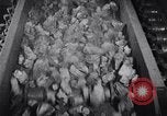Image of coke screening and transport by Ford Dearborn Michigan USA, 1928, second 28 stock footage video 65675030984