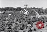 Image Ford gardens Michigan United States USA, 1932, de la seconde 8 séquences d'archives historiques vidéo 65675030998