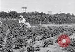 Image Ford gardens Michigan United States USA, 1932, de la seconde 11 séquences d'archives historiques vidéo 65675030998