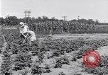 Image Ford gardens Michigan United States USA, 1932, de la seconde 12 séquences d'archives historiques vidéo 65675030998