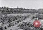 Image Ford gardens Michigan United States USA, 1932, de la seconde 16 séquences d'archives historiques vidéo 65675030998