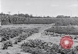 Image Ford gardens Michigan United States USA, 1932, de la seconde 18 séquences d'archives historiques vidéo 65675030998