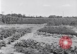 Image Ford gardens Michigan United States USA, 1932, de la seconde 19 séquences d'archives historiques vidéo 65675030998