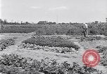 Image Ford gardens Michigan United States USA, 1932, de la seconde 22 séquences d'archives historiques vidéo 65675030998