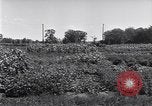 Image Ford gardens Michigan United States USA, 1932, de la seconde 38 séquences d'archives historiques vidéo 65675030998
