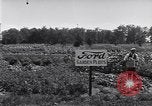 Image Ford gardens Michigan United States USA, 1932, de la seconde 44 séquences d'archives historiques vidéo 65675030998