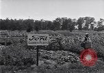 Image Ford gardens Michigan United States USA, 1932, de la seconde 46 séquences d'archives historiques vidéo 65675030998