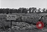 Image Ford gardens Michigan United States USA, 1932, de la seconde 47 séquences d'archives historiques vidéo 65675030998