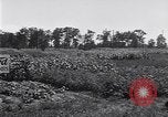 Image Ford gardens Michigan United States USA, 1932, de la seconde 49 séquences d'archives historiques vidéo 65675030998