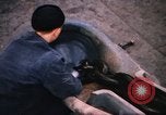 Standbild Allied Schiff Konvoi Vereinigtes Königreich, 1944, aus Sekunde 8 historischem Filmmaterial Videoclip 65675031066