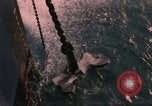 Standbild Allied Schiff Konvoi Vereinigtes Königreich, 1944, aus Sekunde 13 historischem Filmmaterial Videoclip 65675031066