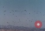 Immagine di US Army paracadutisti Europa, 1969, secondo 3 filmato di repertorio 65675031110