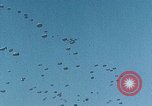 Immagine di US Army paracadutisti Europa, 1969, secondo 18 filmato di repertorio 65675031110
