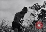 Standbild Malayan Abrechnung Malaya, 1959, aus Sekunde 7 historischem Filmmaterial Videoclip 65675031124