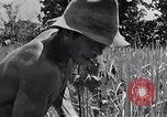 Standbild Malayan Abrechnung Malaya, 1959, aus Sekunde 10 historischem Filmmaterial Videoclip 65675031124