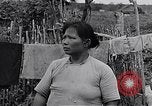 Standbild Malayan Abrechnung Malaya, 1959, aus Sekunde 11 historischem Filmmaterial Videoclip 65675031124
