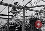 Standbild Malayan Abrechnung Malaya, 1959, aus Sekunde 30 historischem Filmmaterial Videoclip 65675031124