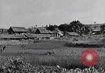 Standbild Malayan Abrechnung Malaya, 1959, aus Sekunde 35 historischem Filmmaterial Videoclip 65675031124